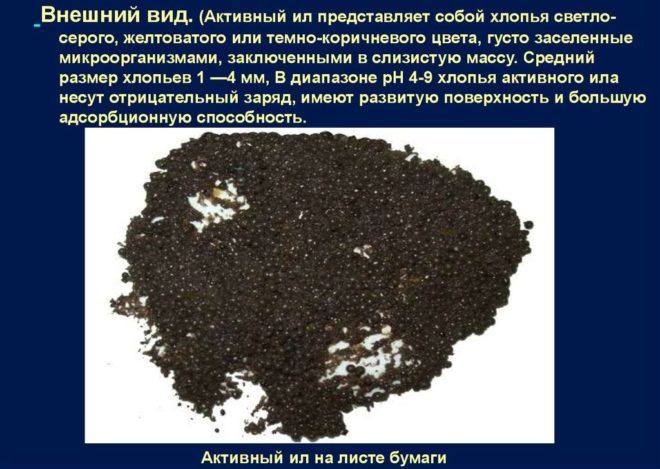 Активный ил