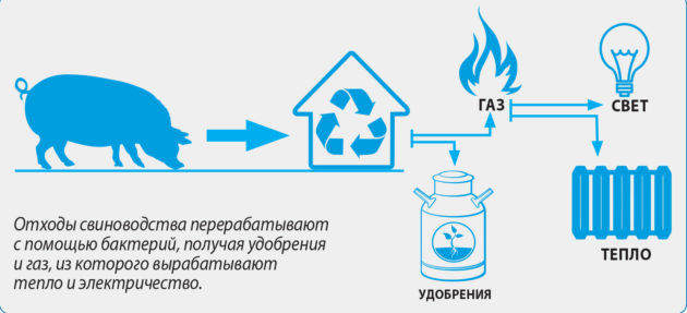Экологическая ценность