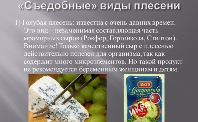 Голубая плесень