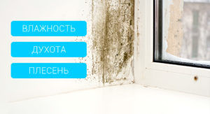 Конденсат на окнах