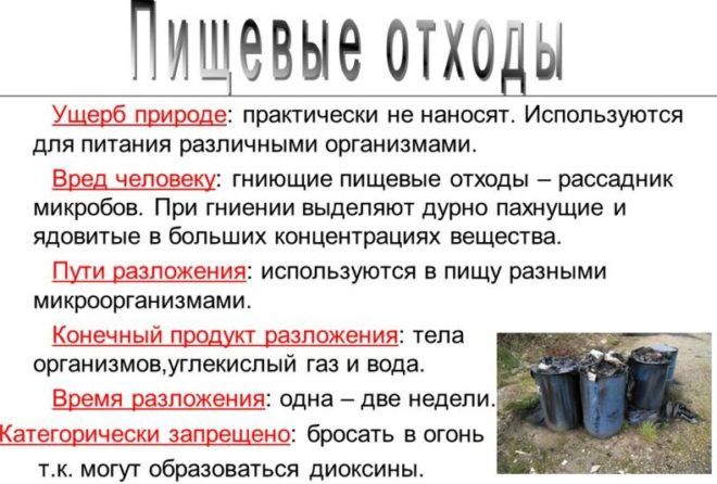 Пищевые отходы