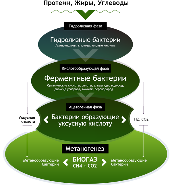 Гидролизные
