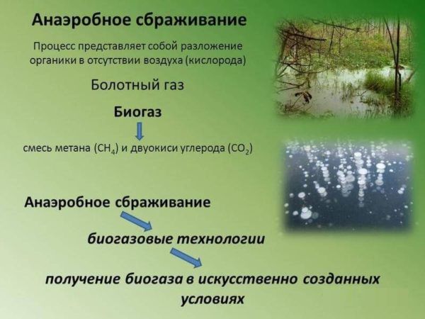 Анаэробное сбраживание