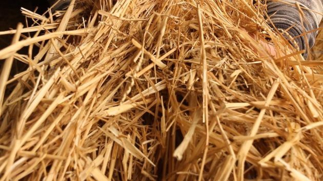 Использование соломы для производства биогаза