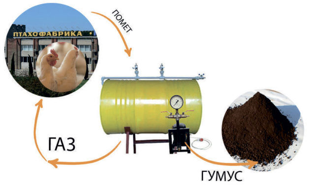 Получение удобрения с помощью биогаза и помета