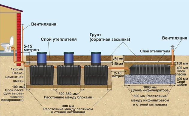 Коллектор