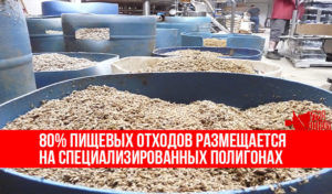 Пищевые остатки 