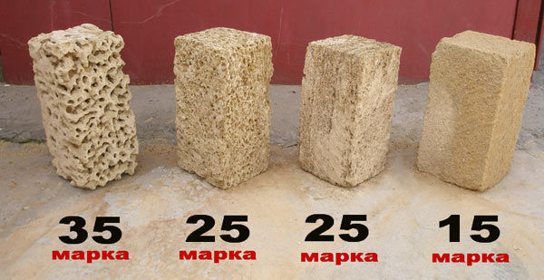 Ракушечник