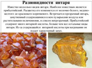 Разновидности янтаря