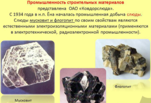 Промышленность строительных материалов
